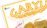 やよい食品：我流ブランド：GARYU ラスク こんがりバター味：A4サイズポップ